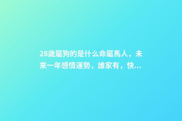 28歲屬狗的是什么命(1990年(28歲)屬馬人，未來一年感情運勢，誰家有，快快接住!)-第1張-觀點-玄機派