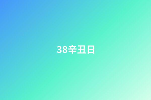 38.辛丑日
