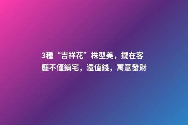 3種“吉祥花”株型美，擺在客廳不僅鎮宅，還值錢，寓意發財