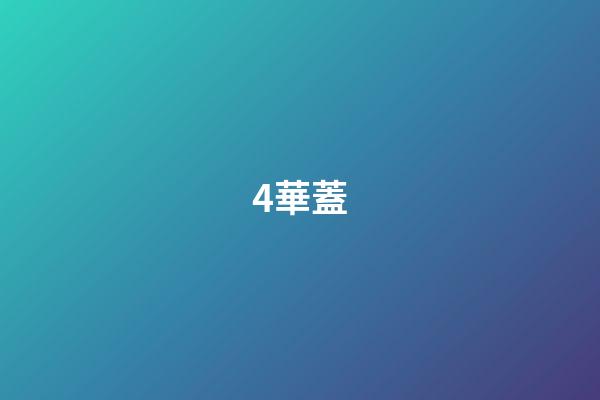 4.華蓋
