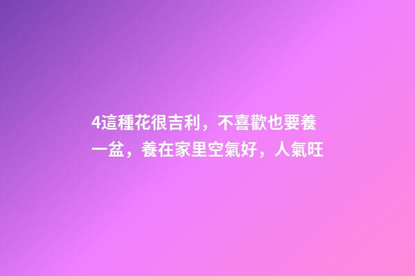 4這種花很吉利，不喜歡也要養一盆，養在家里空氣好，人氣旺