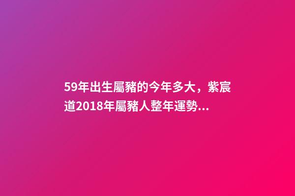 59年出生屬豬的今年多大，紫宸道2018年屬豬人整年運勢解析-第1張-觀點-玄機派