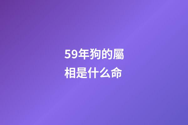 59年狗的屬相是什么命(2018年鼠馬生肖運程)-第1張-觀點-玄機派