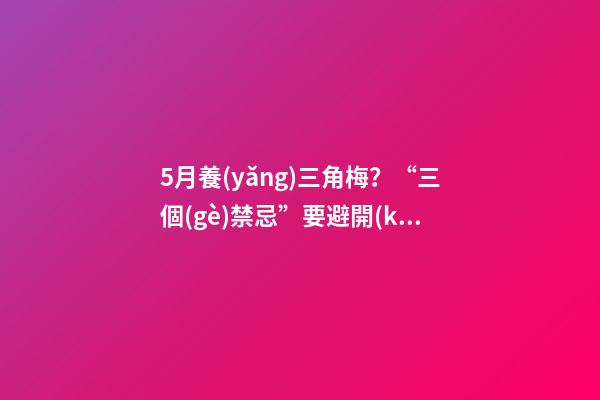 5月養(yǎng)三角梅？“三個(gè)禁忌”要避開(kāi)，花開(kāi)滿枝頭，獨(dú)苗變懸崖老樁