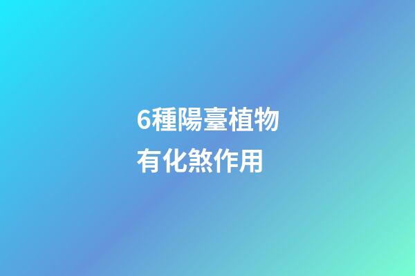6種陽臺植物有化煞作用
