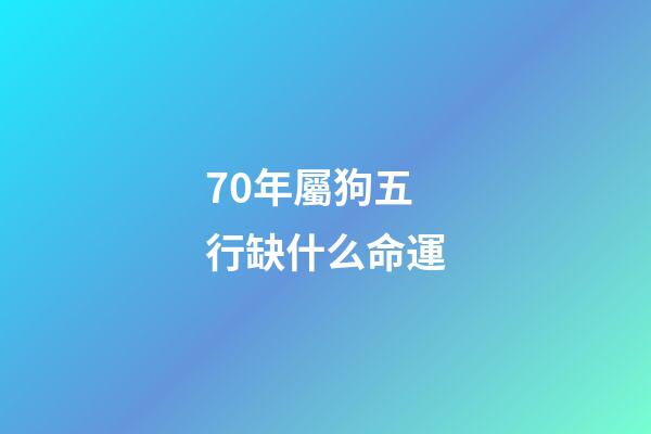 70年屬狗五行缺什么命運(「苦命狗」的后半輩子，特別是70年的，都是老天安排的!)-第1張-觀點-玄機派