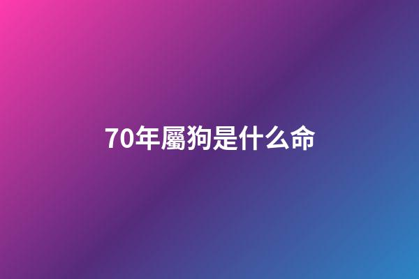 70年屬狗是什么命(70年屬狗女一生命運(yùn)如何？)