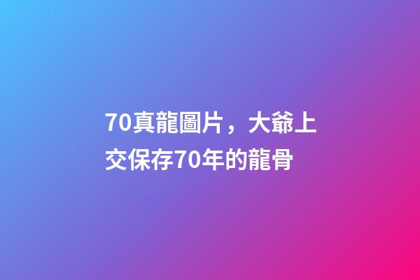 70真龍圖片，大爺上交保存70年的龍骨-第1張-觀點(diǎn)-玄機(jī)派
