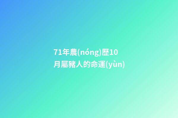 71年農(nóng)歷10月屬豬人的命運(yùn)(71年的豬一生幾次婚姻 屬豬的愛情)-第1張-觀點(diǎn)-玄機(jī)派