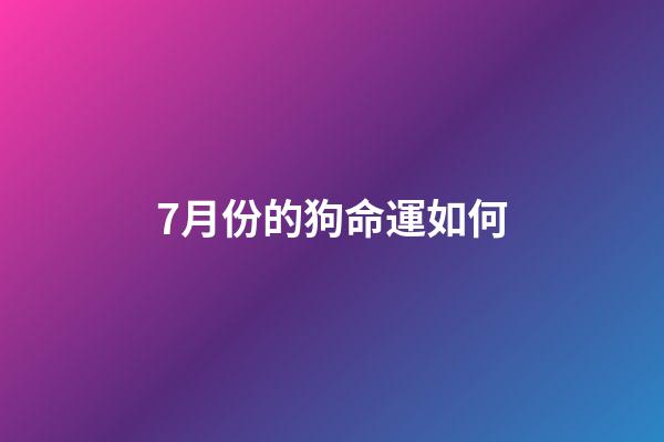 7月份的狗命運如何(一分鐘了解狗子一生)-第1張-觀點-玄機派