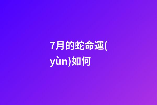 7月的蛇命運(yùn)如何(七月掉到蜜罐的“大金蛇”除了睡大覺(jué)，就是數(shù)鈔票!)-第1張-觀(guān)點(diǎn)-玄機(jī)派