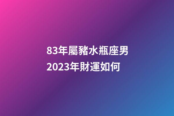 83年屬豬水瓶座男2023年財運如何-第1張-星座運勢-玄機派