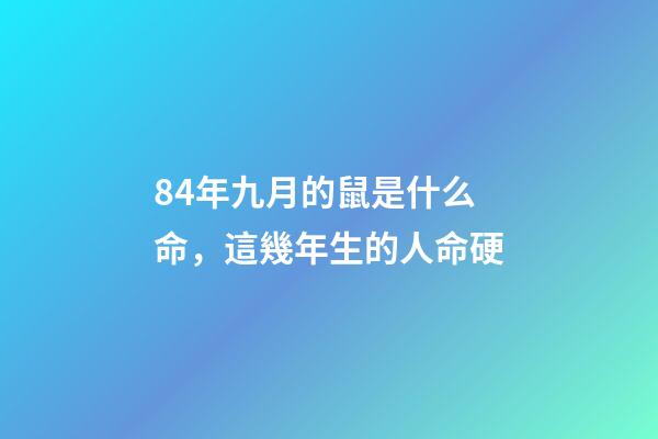 84年九月的鼠是什么命，這幾年生的人命硬-第1張-觀點-玄機派