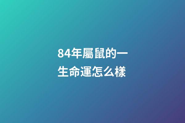84年屬鼠的一生命運怎么樣(子鼠生于60年，72年，84年的，今年的財富事業表現怎樣)-第1張-觀點-玄機派