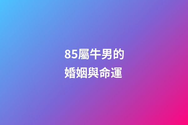 85屬牛男的婚姻與命運(漢蘭達陸放怎么選？今天告訴你答案)-第1張-觀點-玄機派