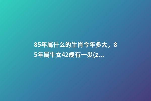 85年屬什么的生肖今年多大，85年屬牛女42歲有一災(zāi)-第1張-觀點(diǎn)-玄機(jī)派