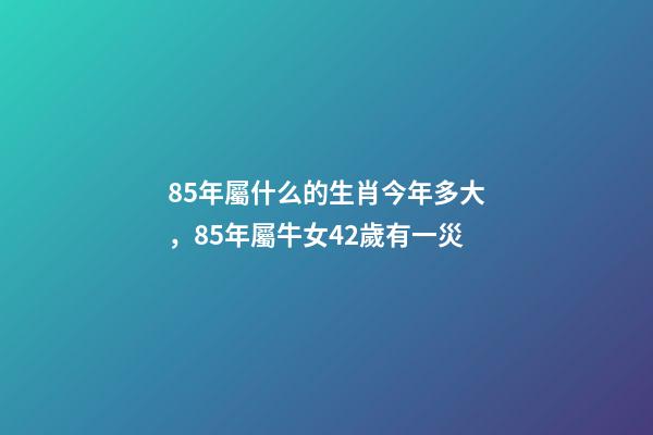 85年屬什么的生肖今年多大，85年屬牛女42歲有一災-第1張-觀點-玄機派