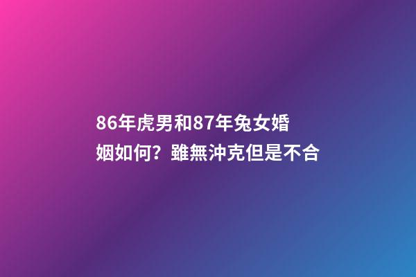 86年虎男和87年兔女婚姻如何？雖無沖克但是不合