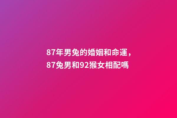 87年男兔的婚姻和命運，87兔男和92猴女相配嗎-第1張-觀點-玄機派