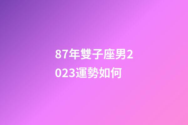 87年雙子座男2023運勢如何-第1張-星座運勢-玄機派