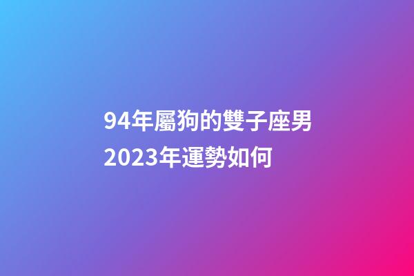 94年屬狗的雙子座男2023年運勢如何-第1張-星座運勢-玄機派
