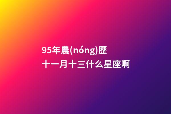 95年農(nóng)歷十一月十三什么星座啊-第1張-星座運勢-玄機派