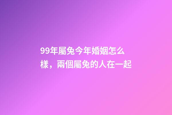 99年屬兔今年婚姻怎么樣，兩個屬兔的人在一起-第1張-觀點-玄機派