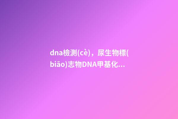 dna檢測(cè)，尿生物標(biāo)志物DNA甲基化檢測(cè)在上尿路上皮癌中的價(jià)值-第1張-觀點(diǎn)-玄機(jī)派