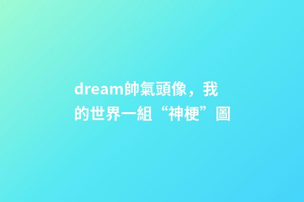 dream帥氣頭像，我的世界一組“神梗”圖-第1張-觀點-玄機派