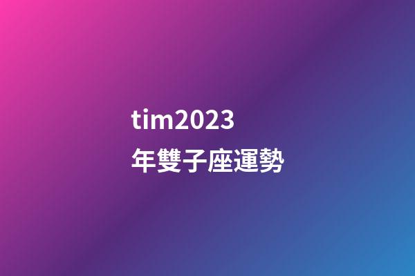 tim2023年雙子座運勢-第1張-星座運勢-玄機派