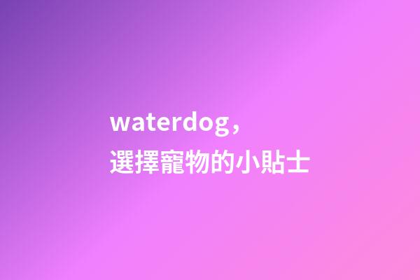 waterdog，選擇寵物的小貼士-第1張-觀點-玄機派