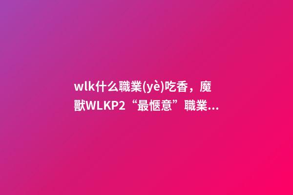 wlk什么職業(yè)吃香，魔獸WLKP2“最愜意”職業(yè)-第1張-觀點(diǎn)-玄機(jī)派