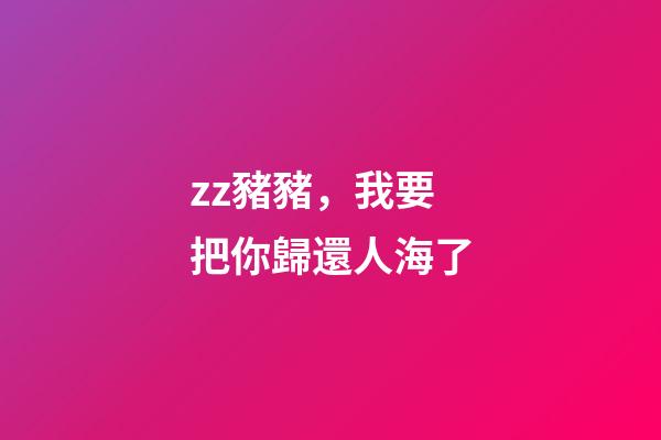 zz豬豬，我要把你歸還人海了-第1張-觀點(diǎn)-玄機(jī)派