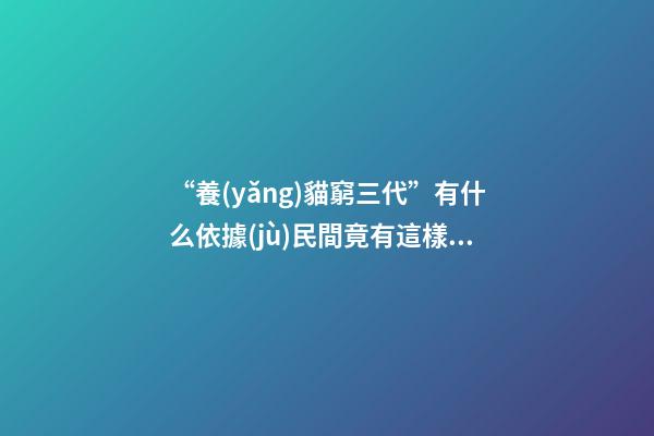 “養(yǎng)貓窮三代”有什么依據(jù)?民間竟有這樣的說(shuō)法