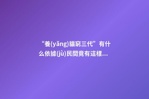 “養(yǎng)貓窮三代”有什么依據(jù)?民間竟有這樣的說法