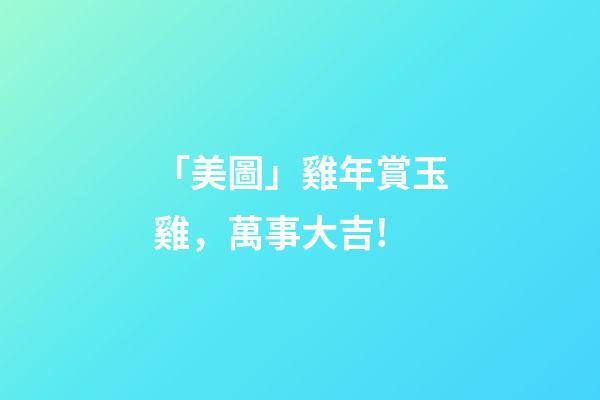 「美圖」雞年賞玉雞，萬事大吉!-第1張-觀點(diǎn)-玄機(jī)派