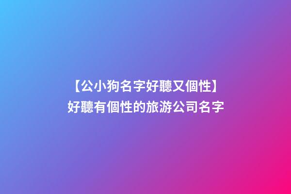 【公小狗名字好聽又個性】好聽有個性的旅游公司名字-第1張-公司起名-玄機派