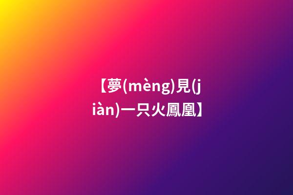 【夢(mèng)見(jiàn)一只火鳳凰】