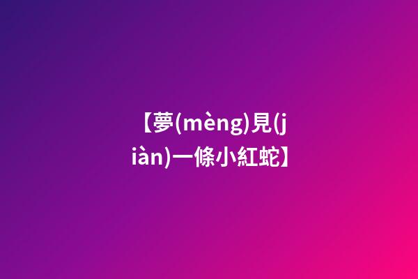 【夢(mèng)見(jiàn)一條小紅蛇】