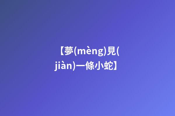 【夢(mèng)見(jiàn)一條小蛇】