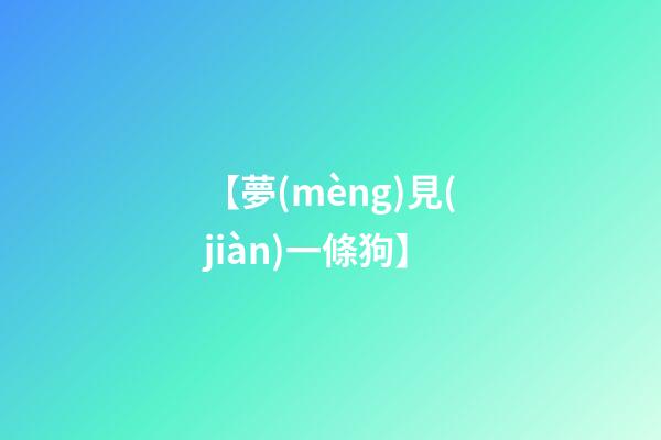 【夢(mèng)見(jiàn)一條狗】