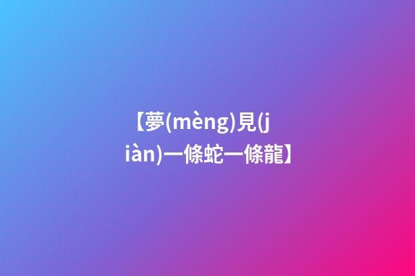 【夢(mèng)見(jiàn)一條蛇一條龍】