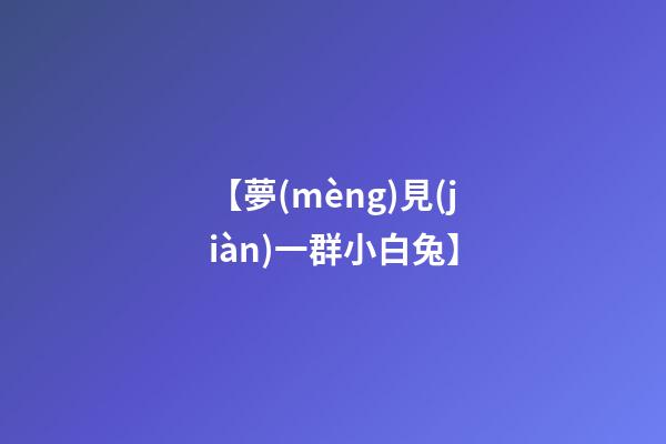 【夢(mèng)見(jiàn)一群小白兔】