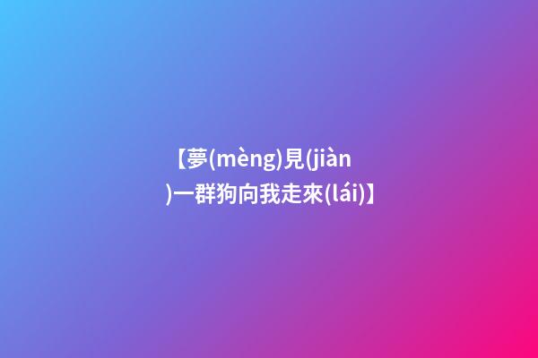 【夢(mèng)見(jiàn)一群狗向我走來(lái)】