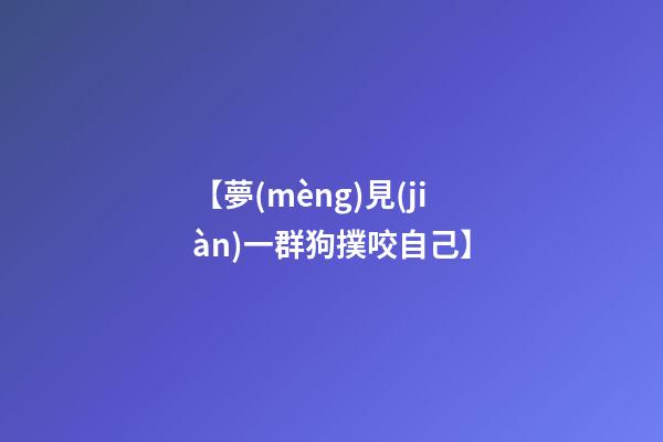 【夢(mèng)見(jiàn)一群狗撲咬自己】