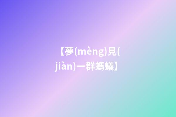 【夢(mèng)見(jiàn)一群螞蟻】