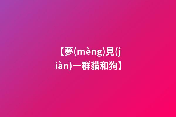 【夢(mèng)見(jiàn)一群貓和狗】