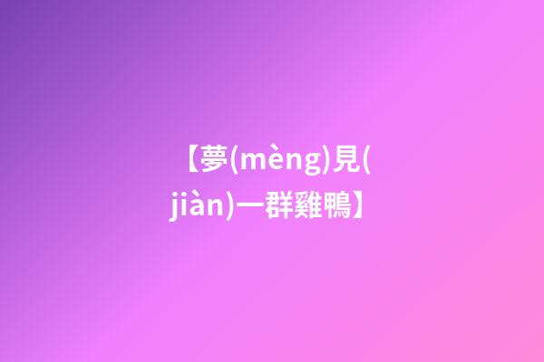 【夢(mèng)見(jiàn)一群雞鴨】