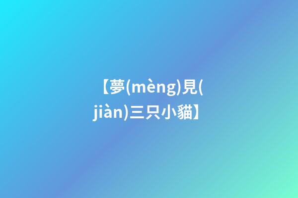 【夢(mèng)見(jiàn)三只小貓】