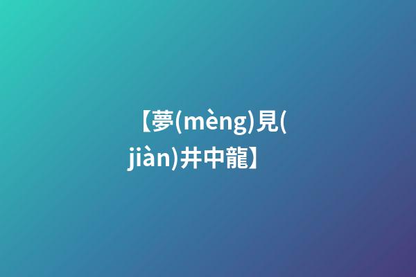 【夢(mèng)見(jiàn)井中龍】